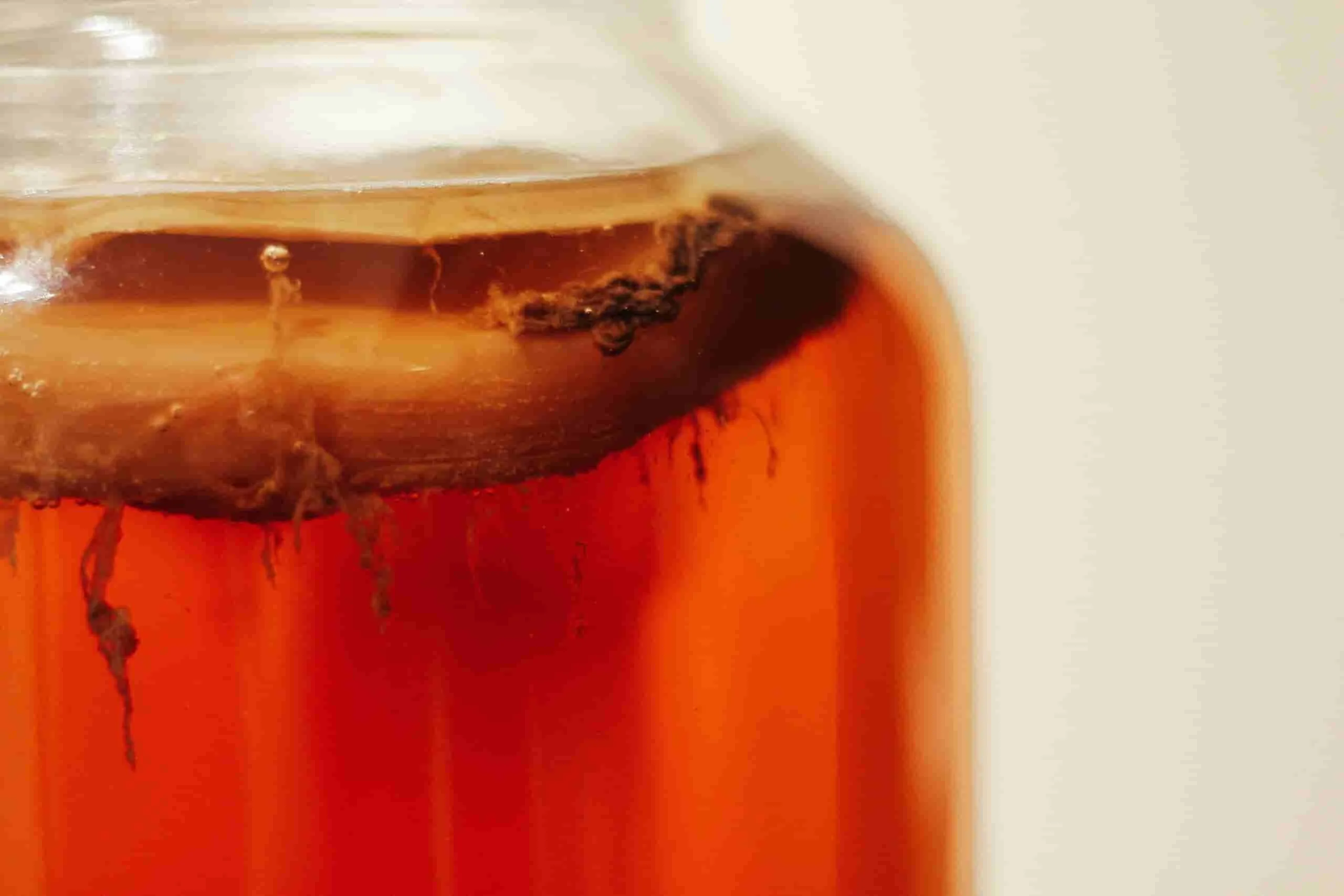 Kombucha Grana terra en Rosario