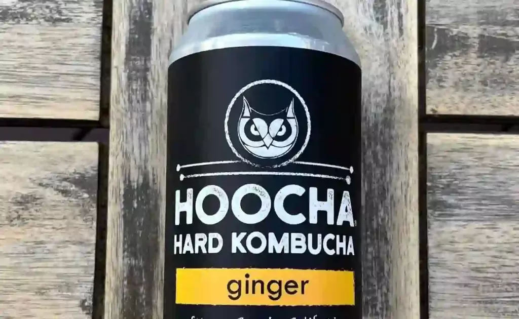 Kombucha Grana terra en Rosario