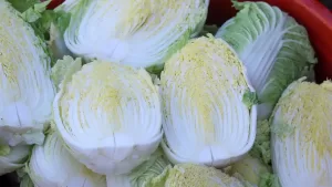 pachoi