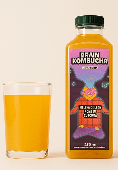 Brain kombucha