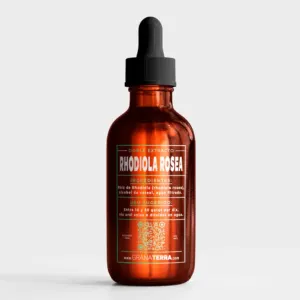 Rhodiola rosea - doble extracto