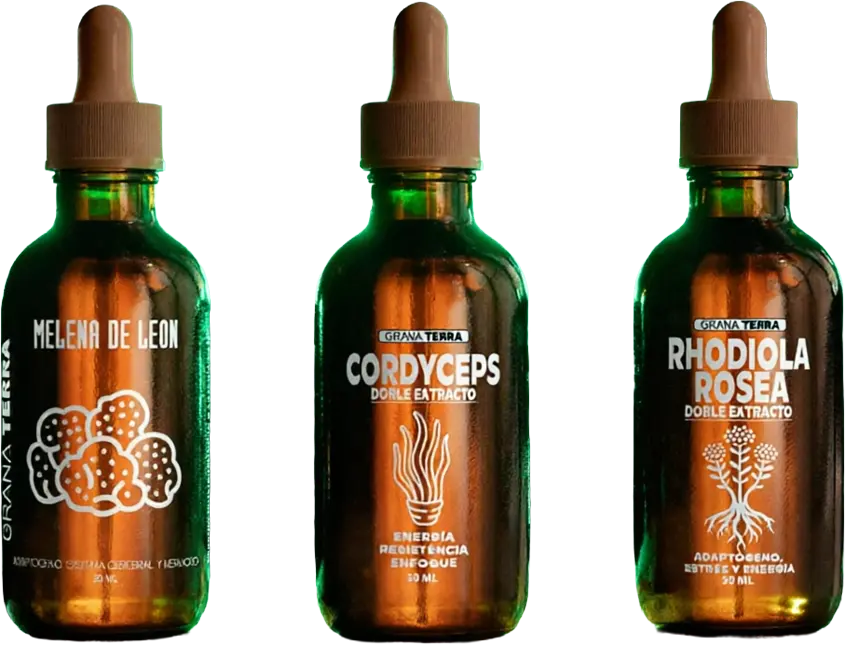 Combo Foco Total PRO — Melena de León + Cordyceps + Rhodiola